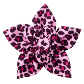 Collar Flower | Pink Leopard Print