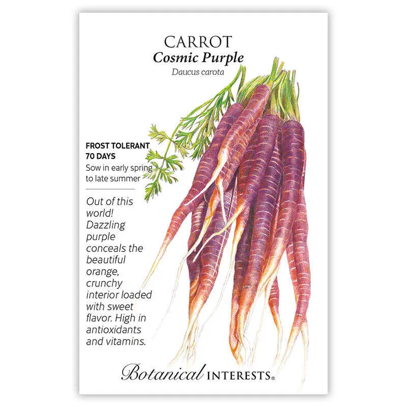 Cosmic Purple Carrot Seeds