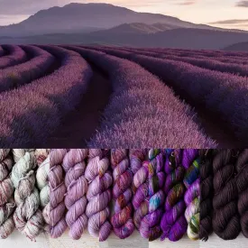 Lavender Field - Gradient Set