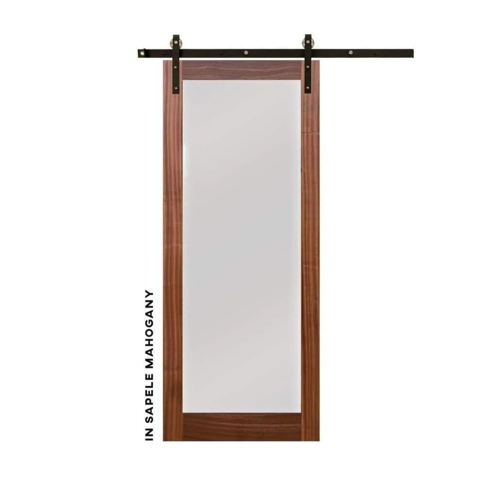 Modern Single Panel Swinging Interior Glass Door