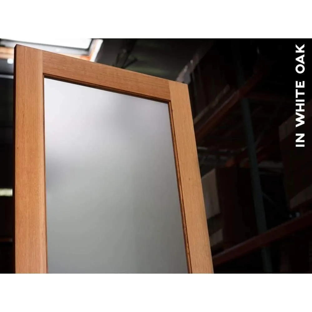 Modern Single Panel Swinging Interior Glass Door