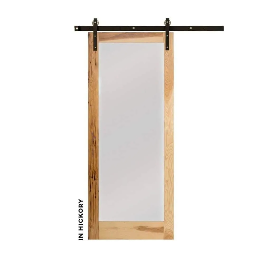 Modern Single Panel Swinging Interior Glass Door