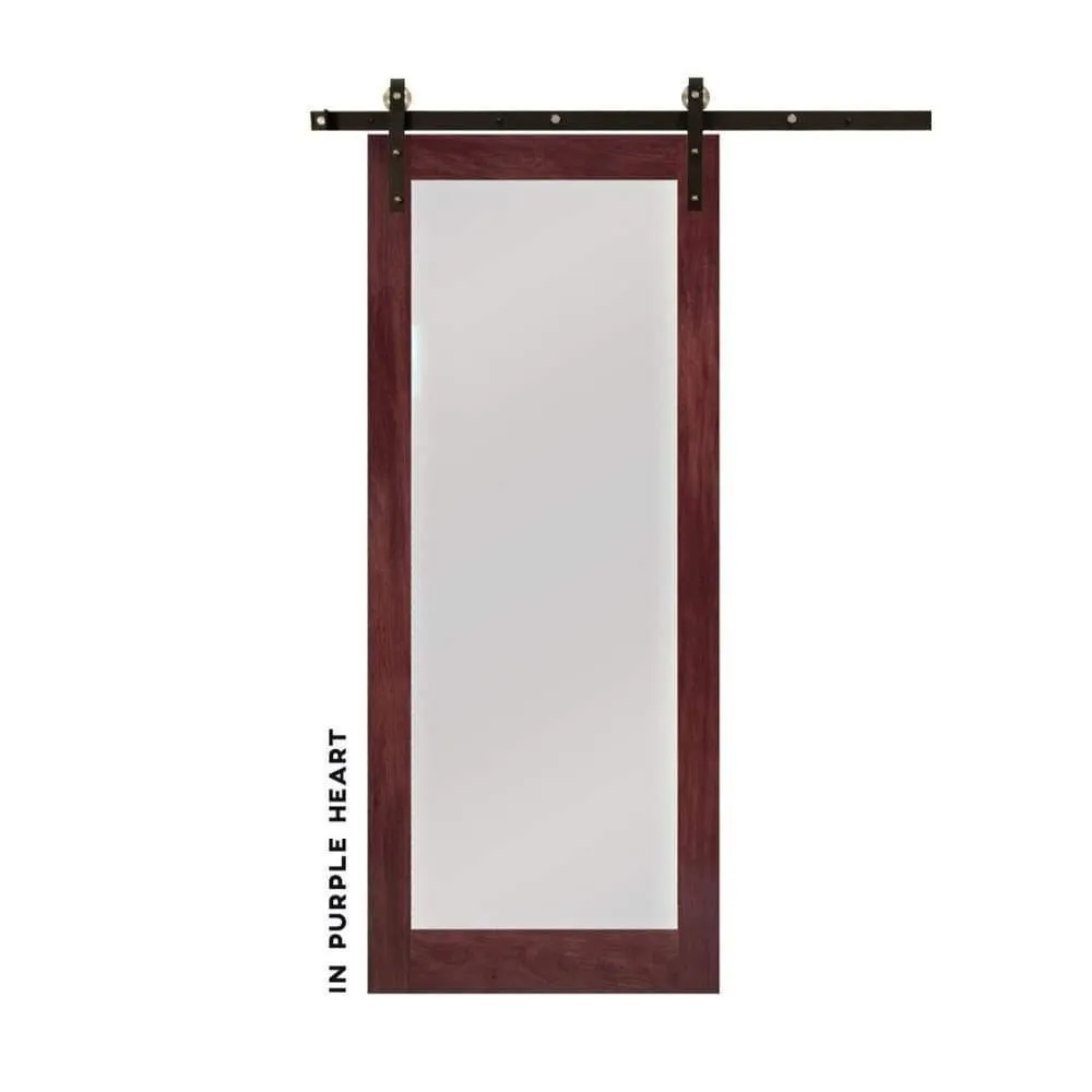 Modern Single Panel Swinging Interior Glass Door