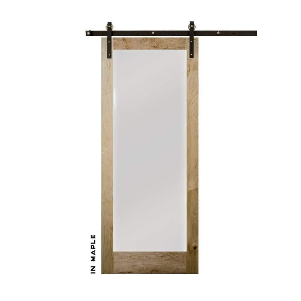 Modern Single Panel Swinging Interior Glass Door