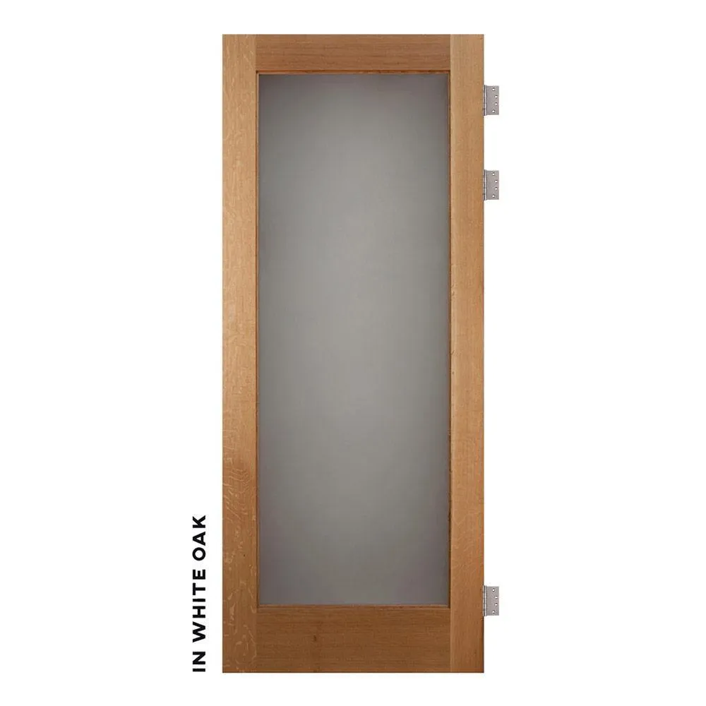 Modern Single Panel Swinging Interior Glass Door