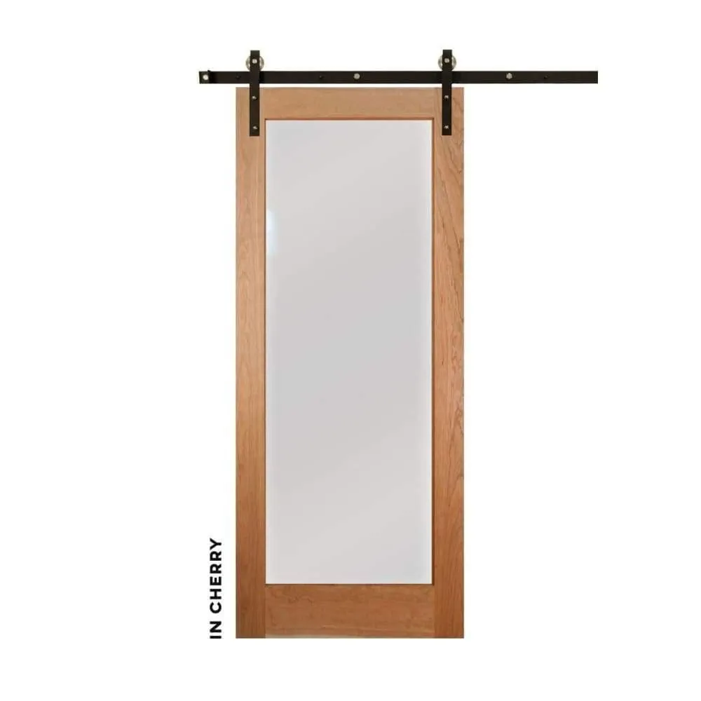 Modern Single Panel Swinging Interior Glass Door