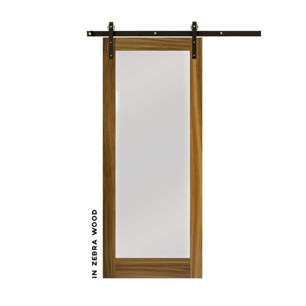 Modern Single Panel Swinging Interior Glass Door