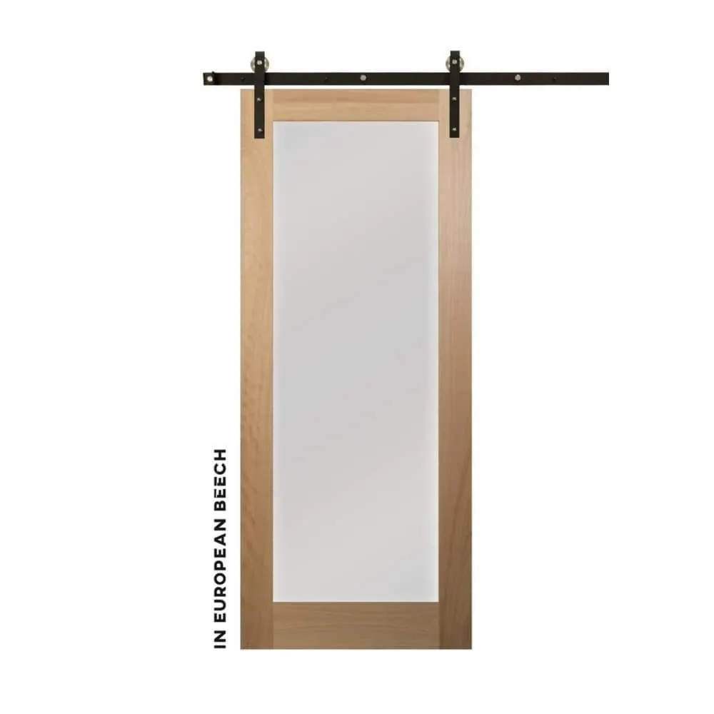 Modern Single Panel Swinging Interior Glass Door