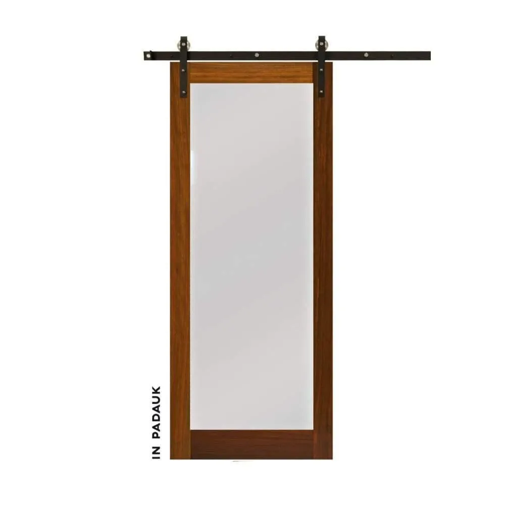 Modern Single Panel Swinging Interior Glass Door