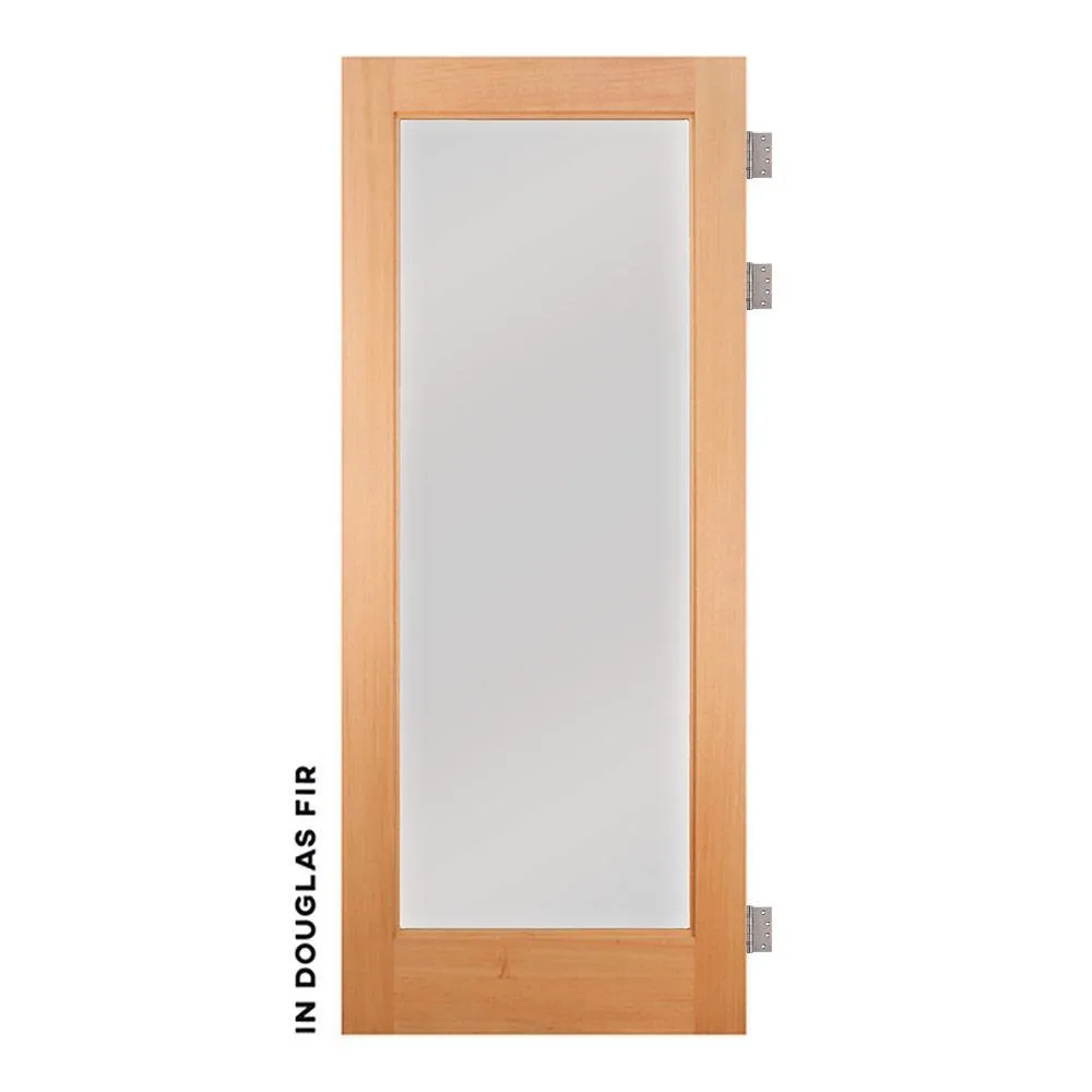 Modern Single Panel Swinging Interior Glass Door